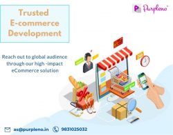 Trusted eCommerce development