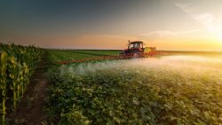 3 ways insecticides can be counterproductive in agriculture