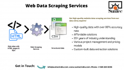 Web Data Scraping Services