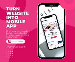 The fastest and most affordable way to Turn Web App Into Mobile App