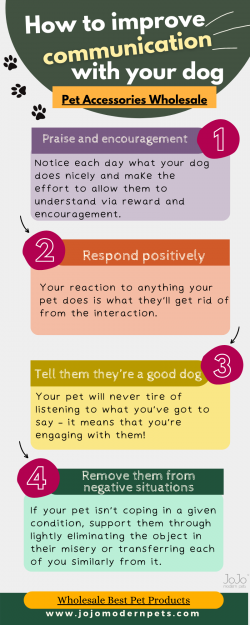 Pet Accessories Wholesale – Need of Optimistic Human Communication