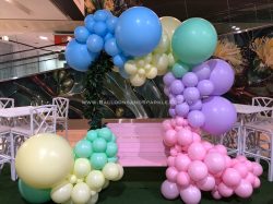 Buy Organic Balloon in Gold Coast