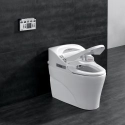 Benefits of Smart Toilets