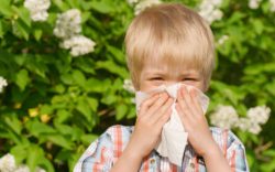 Immunotherapy For Allergies