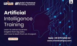 Artificial Intelligence Training in Delhi