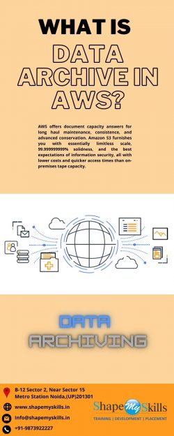 What is Data Archive in AWS? Learn About AWS Training in Delhi