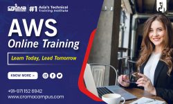 AWS Online Course in Qatar