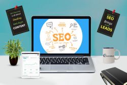 Best Seo Company In Chandigarh