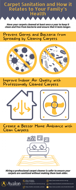 Carpet Sanitation and How it Relates to Your Family’s Health