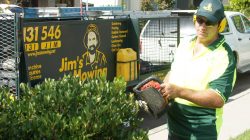 lawn mowing Murrumbeena