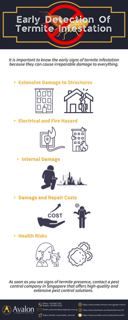 Early Detection Of Termite Infestation