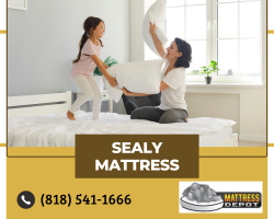 Environmentally Mattress Pairs