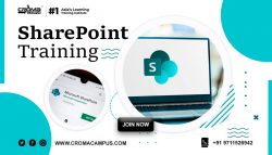 SharePoint Online Training