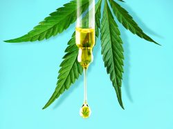 Obtenga la información sobre la guía para principiantes de CBD