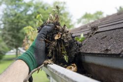 Gutter Cleaning Taupo