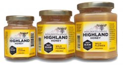 Benefits of Highland Honey Bees’ Pollination Services