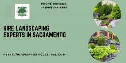 Hire Landscaping Experts in Sacramento