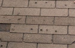 What Does Hail Damage Look Like on a Roof?