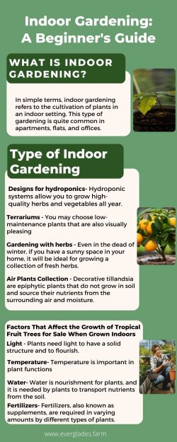 Indoor Gardening: A Beginner’s Guide