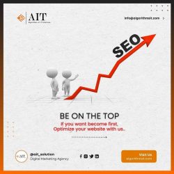 Search Engine Optimization Company in Jaipur