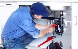 Local Trusted Plumbers