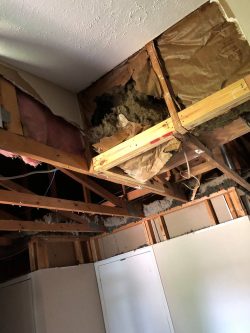 Property Damage Repair Near me