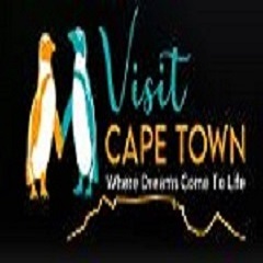 Penguins tour Cape Town