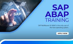 SAP ABAP Training in Delhi