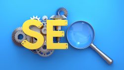 SEO Services Agency in Delhi – WebzPapa