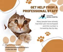 If you are looking for Riverside Animal Hospital Kamloops contact us today