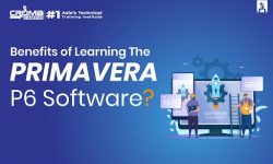 Primavera Online Course in Qatar