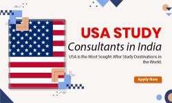 How Foreign Students Can Work in America With Their Studies?