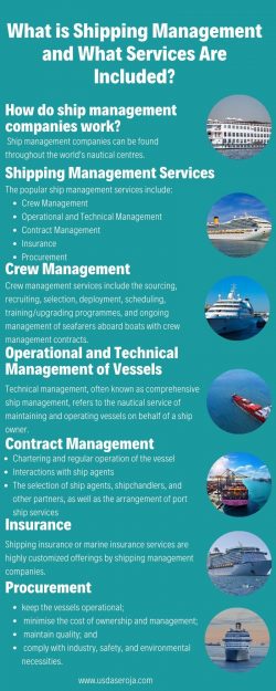 What is Shipping Management and What Services Are Included?