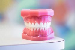 Best Orthodontist Specialists In Hialeah