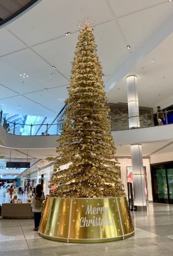 Gold Coast Christmas Tree