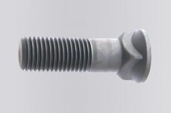 Flat Head Square Neck Bolt