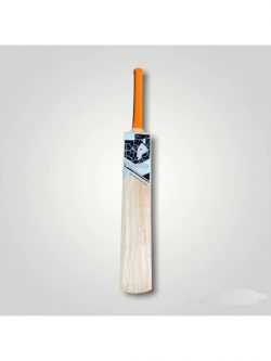 Kashmir Willow Bat by ALL ABOUT CRICKET LLC