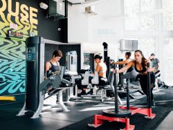 BEST Gyms in Miami Beach, FL