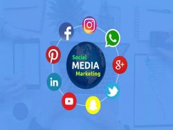 social media marketing services in Edmonton