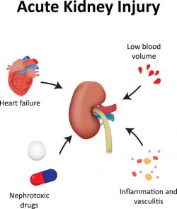 Acute Kidney Failure Teatment In Ayurveda