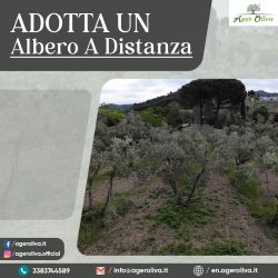 adotta un albero a distanza