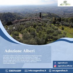 adozione alberi