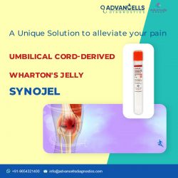 Synojel for Knee Pain