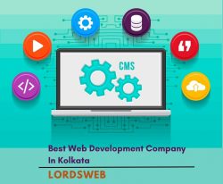 Best Web Development Company In Kolkata