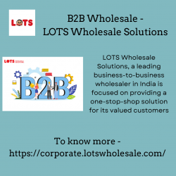 B2B Wholesale – LOTS Wholesale Solutions