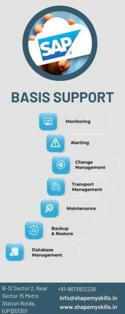 SAP Basis Support