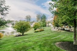 Grounds Maintenance