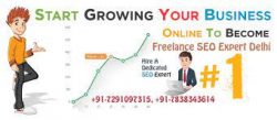 Best Seo Freelancer in Delhi