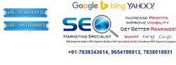 Best Seo Freelancer in Delhi