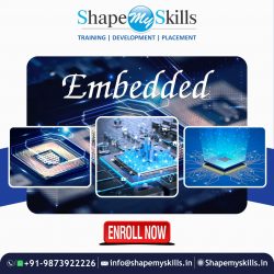 best institute for Embedded Training in Delhi